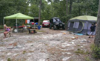 Matthew H.'s photo at Bass River State Forest near Port Republic, NJ