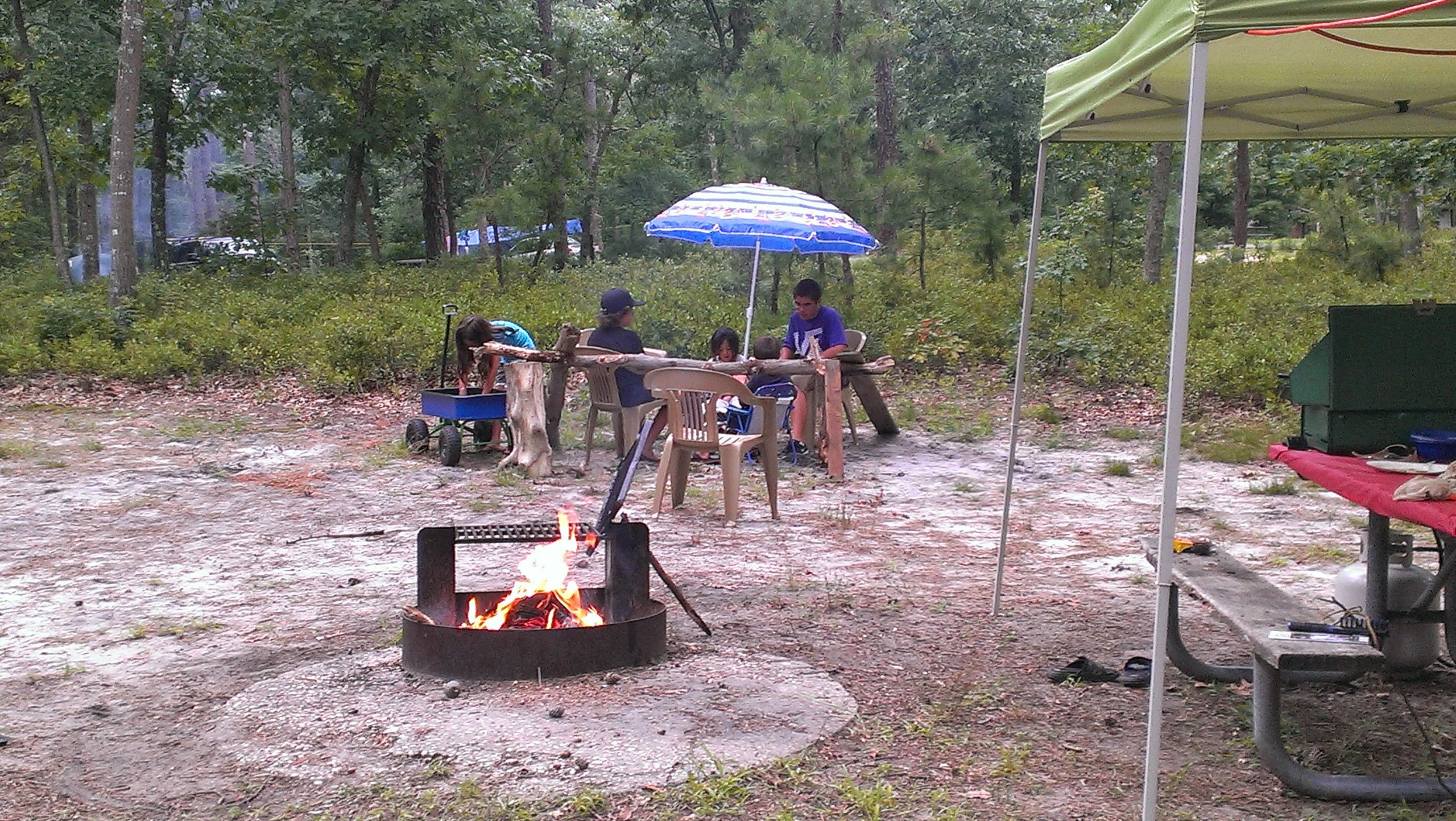 Camper submitted image from Bass River State Forest - 1
