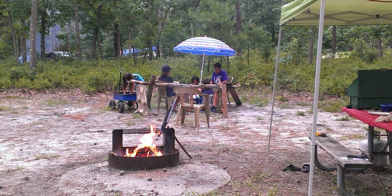 Camper submitted image from Bass River State Forest