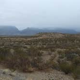 Review photo of Cottonwood Campground — Big Bend National Park by Joey P., January 25, 2021