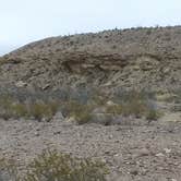 Review photo of Cottonwood Campground — Big Bend National Park by Joey P., January 25, 2021