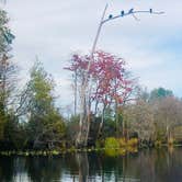 Review photo of Stephen C. Foster State Park Campground by MerKLees , January 26, 2021