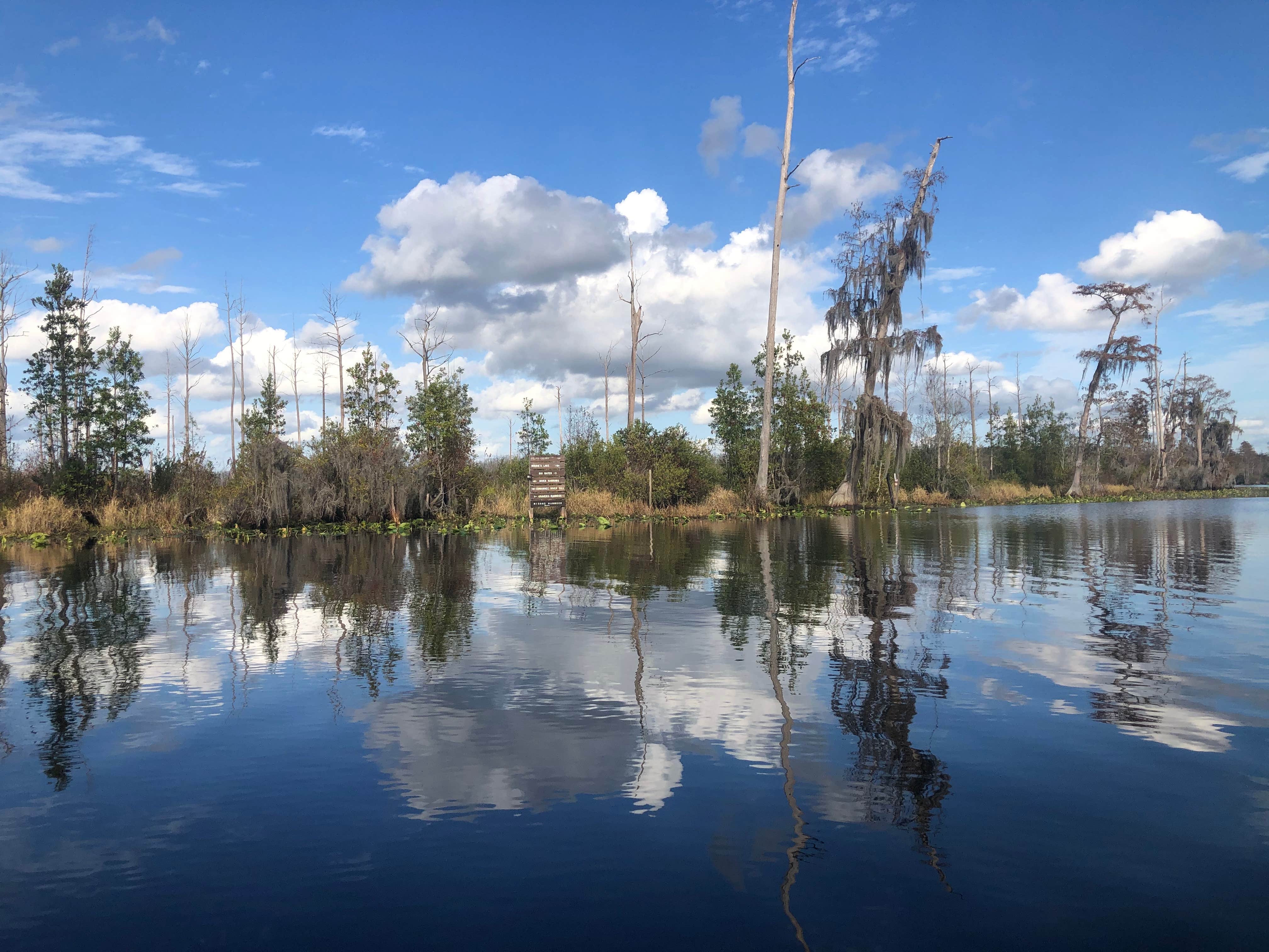 Camper-submitted photo at Stephen C. Foster State Park Campground near Folkston, GA