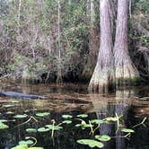 Review photo of Stephen C. Foster State Park Campground by MerKLees , January 26, 2021