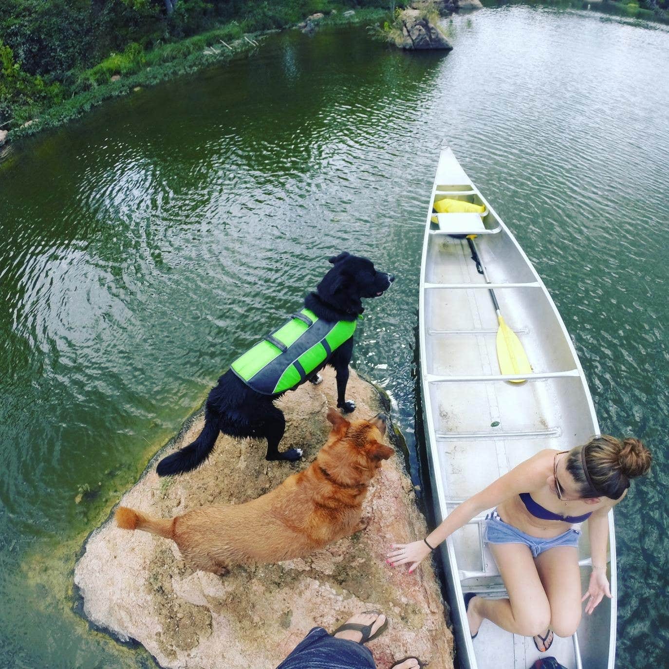 Chris K.'s photo of camping with pets at Inks Lake State Park Campground near San Saba, TX