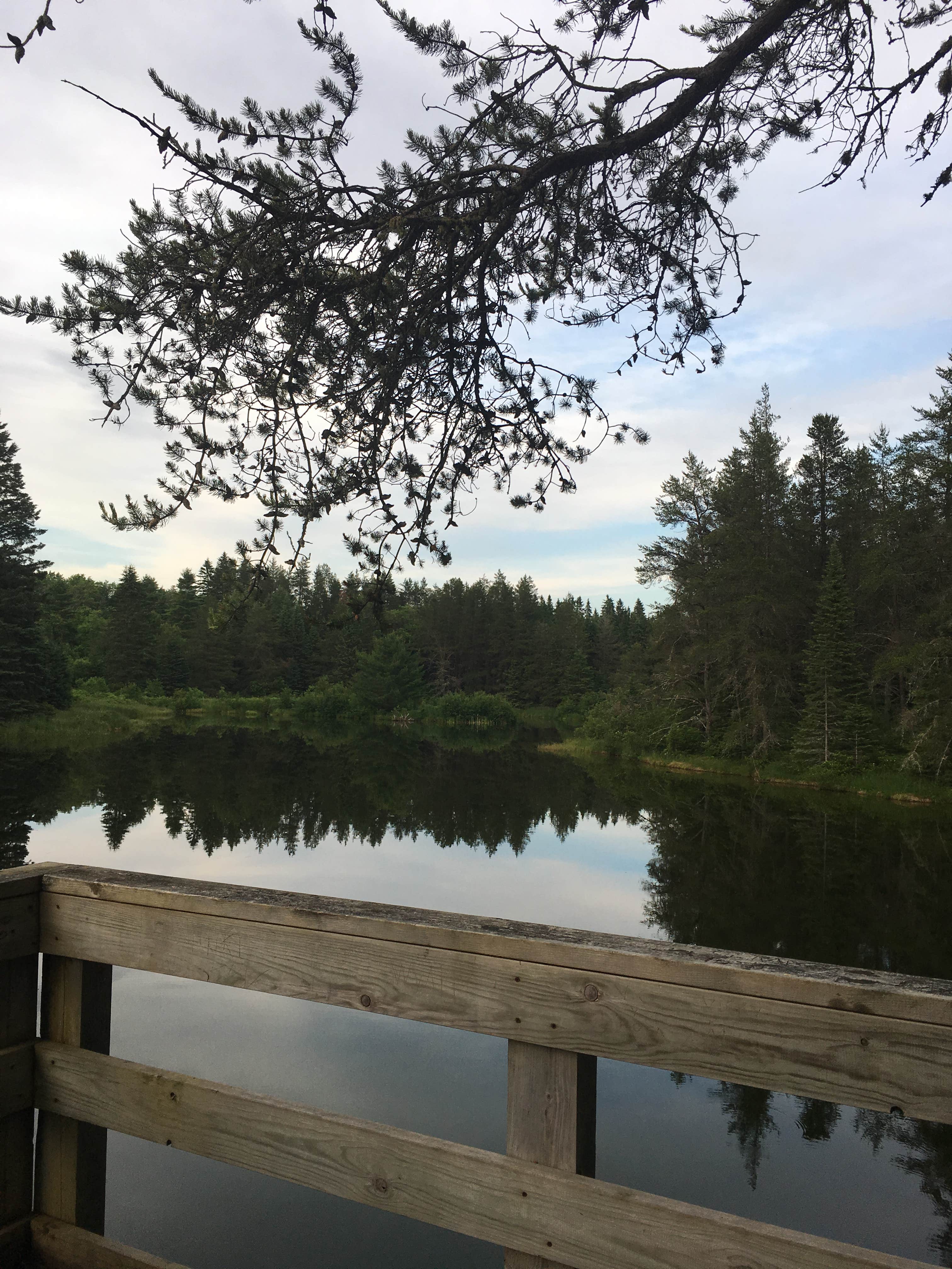 East Branch of Fox River State Forest Campground | Seney, MI