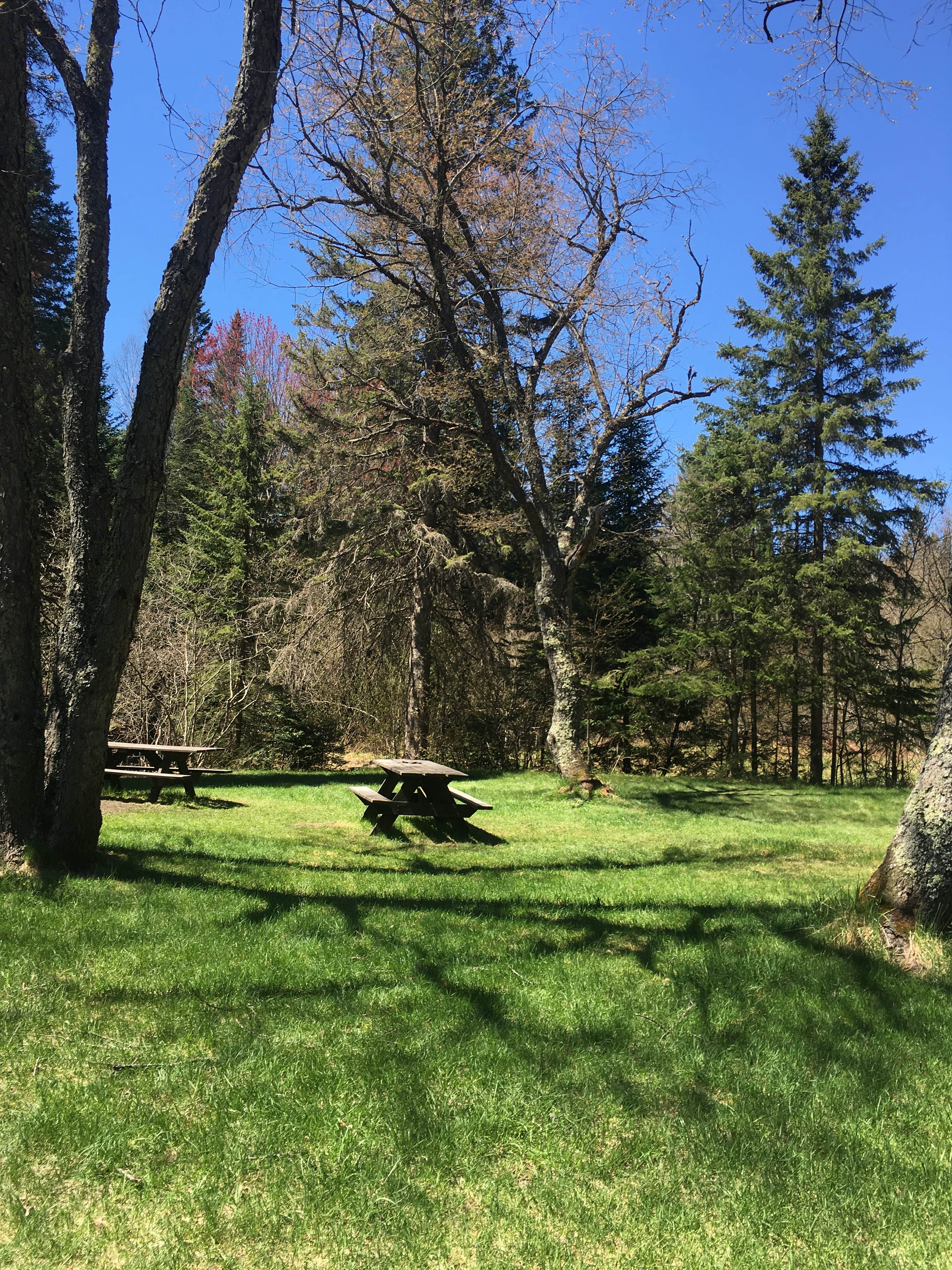 Camper submitted image from East Branch of Fox River State Forest Campground - 3