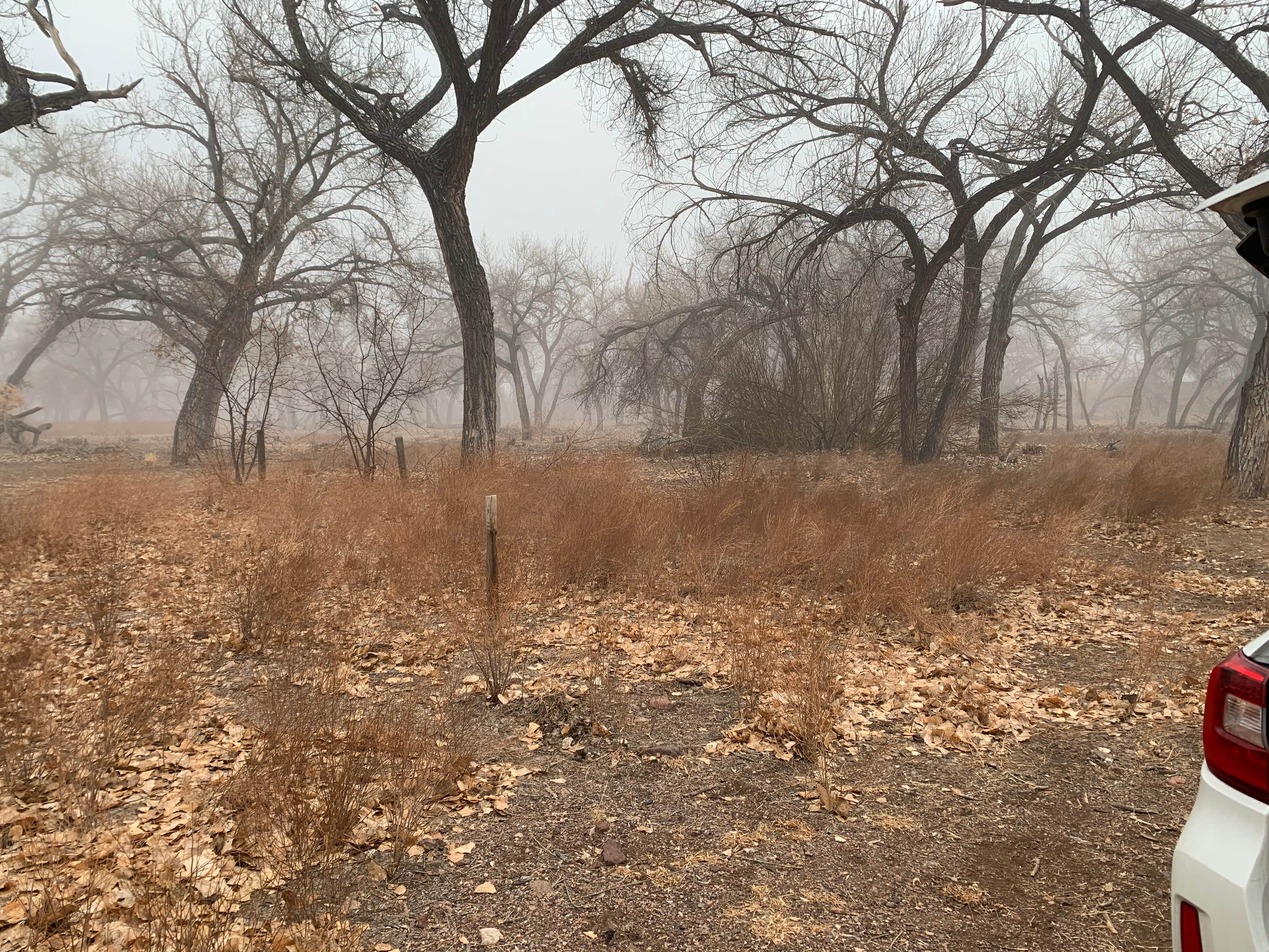 Camper-submitted photo at San Antonio Bosque Park near San Acacia, NM