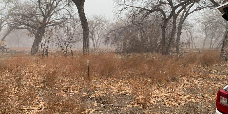 Camper submitted image from San Antonio Bosque Park