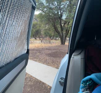 Camper-submitted photo from Davis Mountains State Park Campground