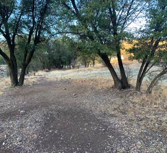 Camper-submitted photo from Davis Mountains State Park Campground