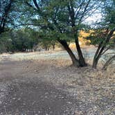 Review photo of Davis Mountains State Park by Alice C., January 26, 2021