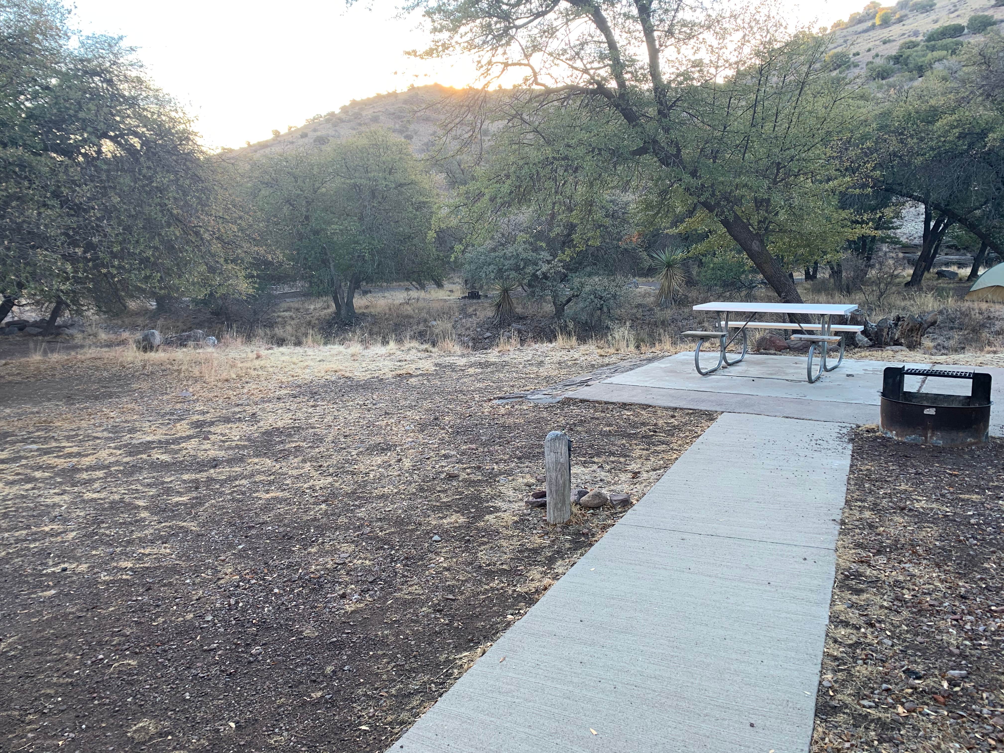 Camper-submitted photo at Davis Mountains State Park Campground in Texas