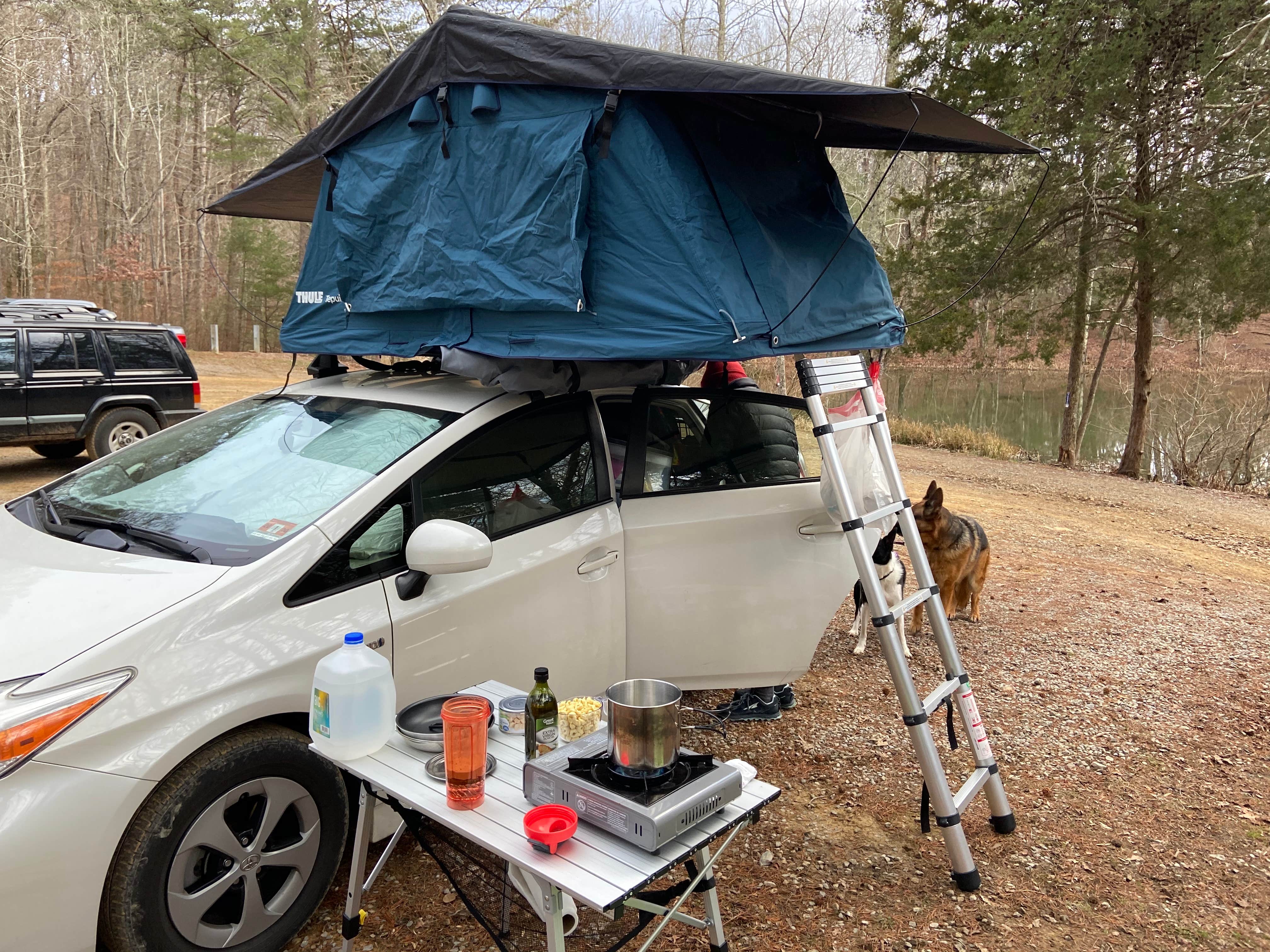 Camper-submitted photo at Prentice Cooper State Forest Dispersed near White Oak, GA