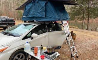 Marguerite S.'s photo at Prentice Cooper State Forest Dispersed near White Oak, GA