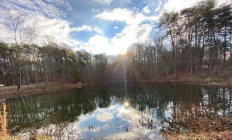 Camping near Marion County Park: Prentice Cooper State Forest Dispersed, Signal Mountain, Tennessee
