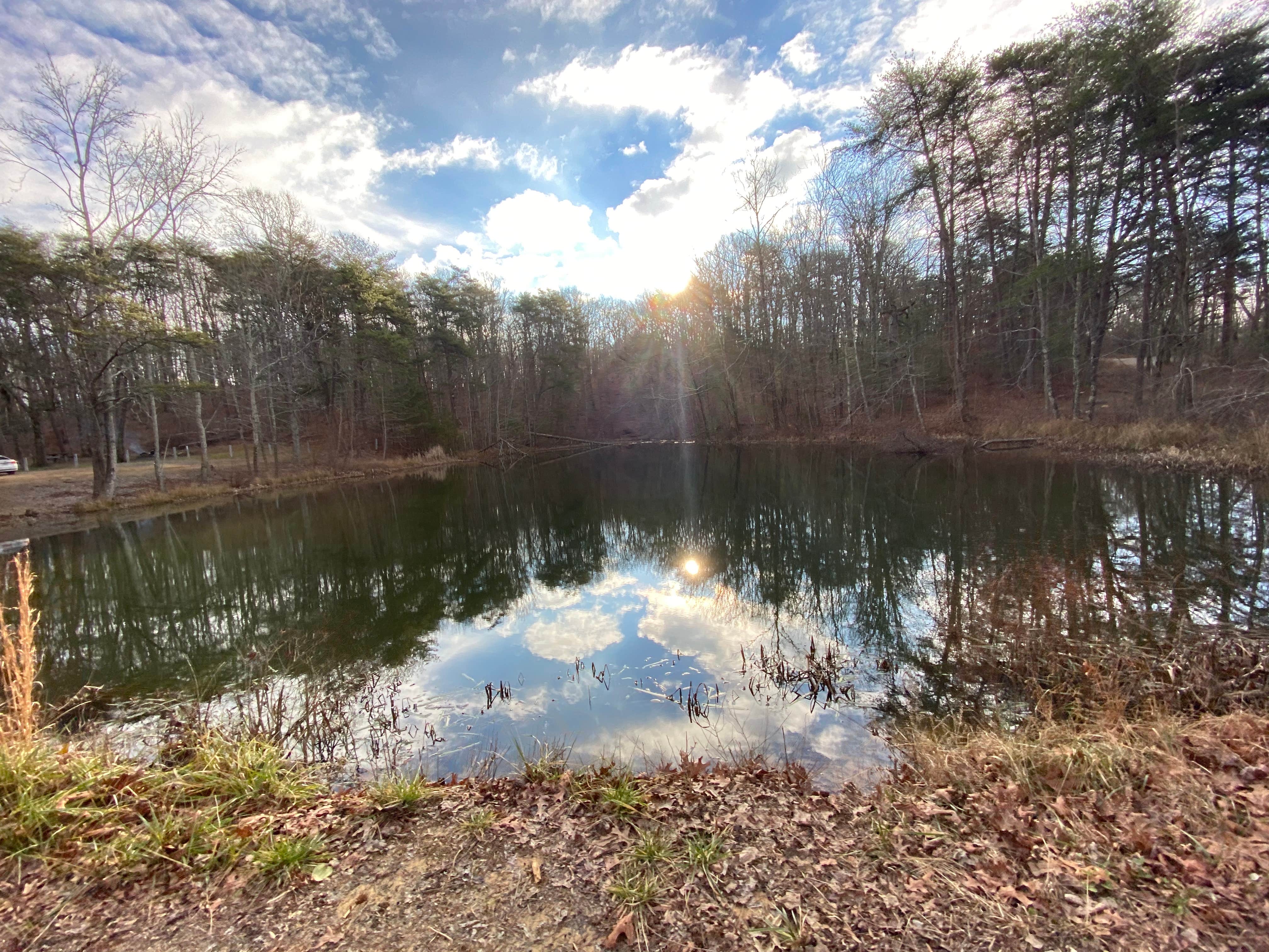 Camper submitted image from Prentice Cooper State Forest Dispersed - 1