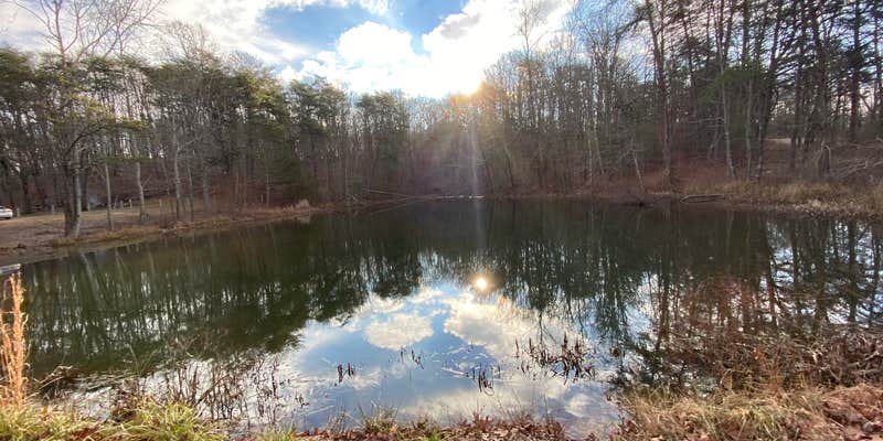 Camper submitted image from Prentice Cooper State Forest Dispersed