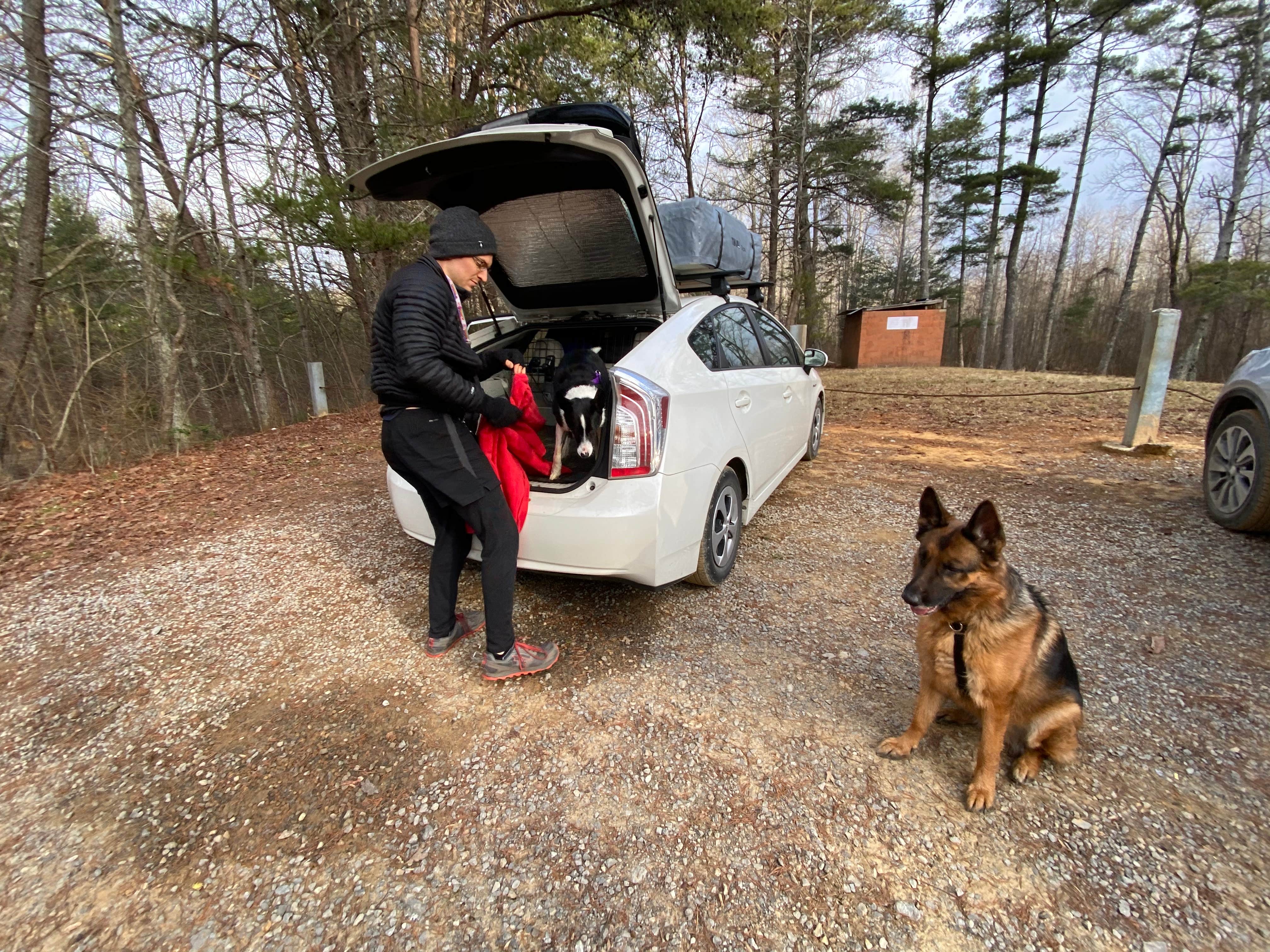 Marguerite S.'s photo of camping with pets at Prentice Cooper State Forest Dispersed near Sale Creek, TN
