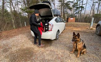 Marguerite S.'s photo of camping with pets at Prentice Cooper State Forest Dispersed near Chattanooga, TN