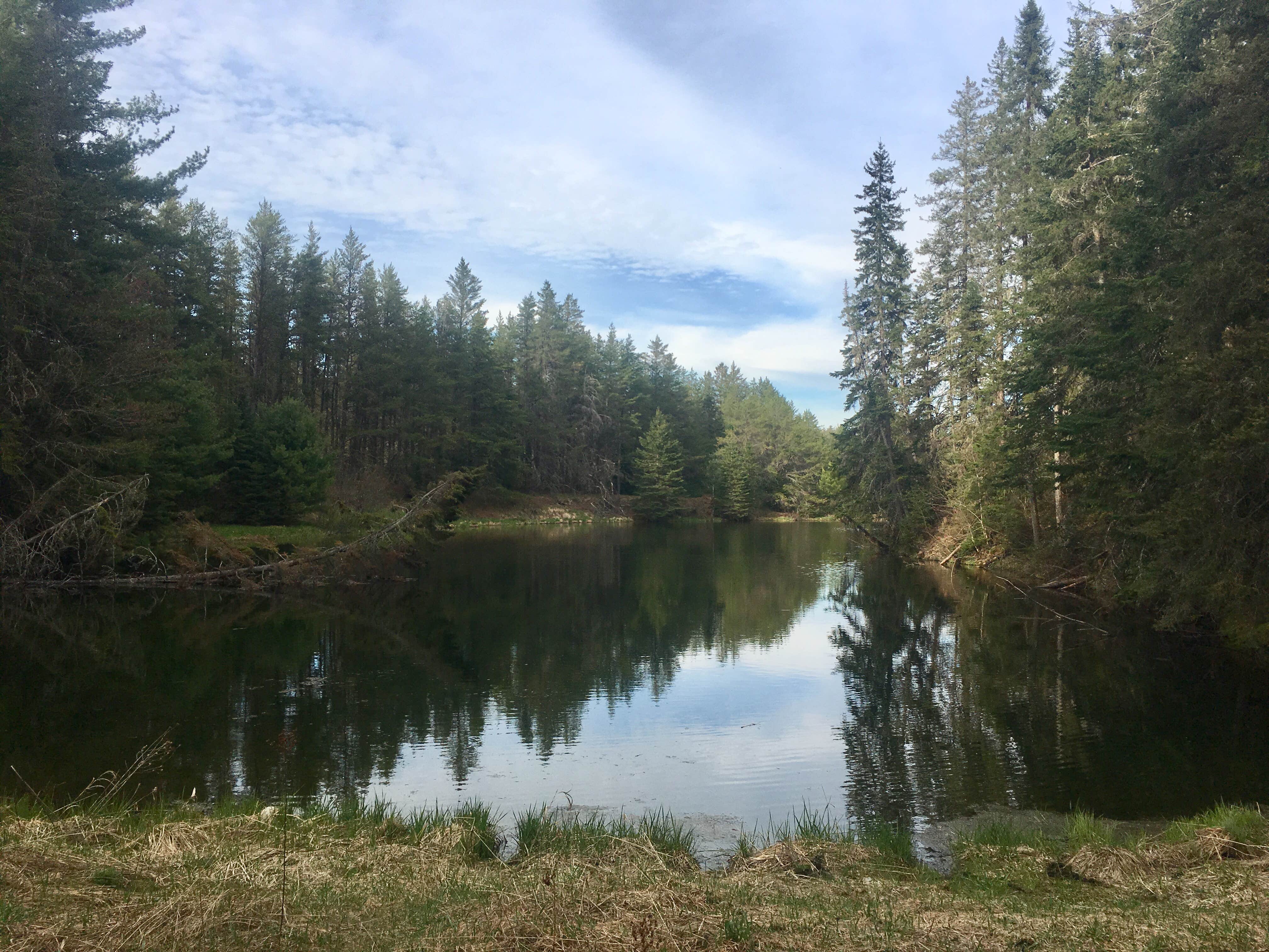 Camper-submitted photo at East Branch of Fox River State Forest Campground near Seney, MI