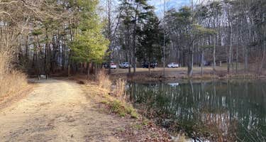 Prentice Cooper State Forest Dispersed