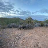 Review photo of Darby Wells Rd BLM Dispersed by Chris J., January 26, 2021