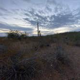 Review photo of Darby Wells Rd BLM Dispersed by Chris J., January 26, 2021