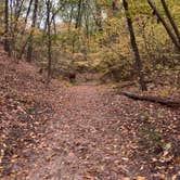 Review photo of Indiana Dunes State Park Campground by Robert B., January 26, 2021