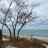 Review photo of Indiana Dunes State Park Campground by Robert B., January 26, 2021