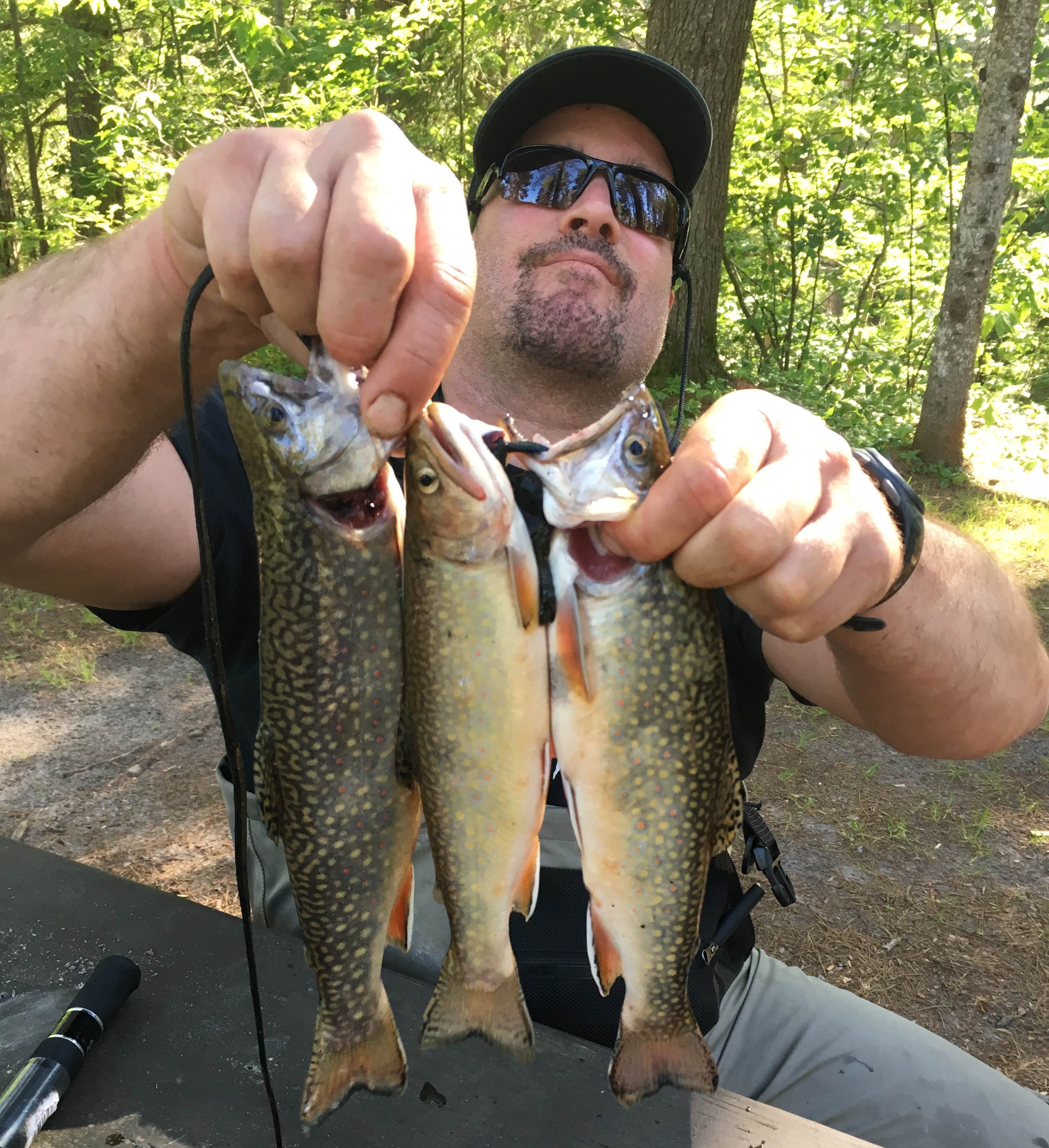 Camping near Fox River Campground: East Branch of Fox River State Forest Campground, Seney, Michigan