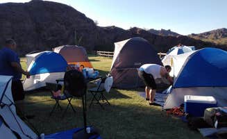 A V.'s photo at River Island State Park Campground near Earp, CA