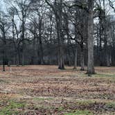 Review photo of Leroy Percy State Park Campground by Steve S., January 26, 2021