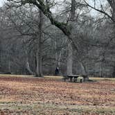 Review photo of Leroy Percy State Park Campground by Steve S., January 26, 2021