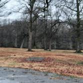 Review photo of Leroy Percy State Park Campground by Steve S., January 26, 2021