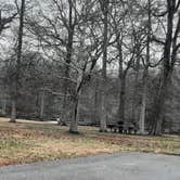 Review photo of Leroy Percy State Park Campground by Steve S., January 26, 2021