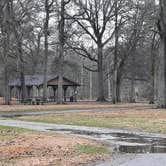 Review photo of Leroy Percy State Park Campground by Steve S., January 26, 2021