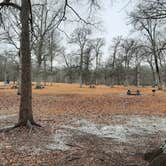 Review photo of Leroy Percy State Park Campground by Steve S., January 26, 2021