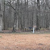 Review photo of Leroy Percy State Park Campground by Steve S., January 26, 2021