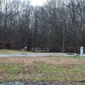 Review photo of Leroy Percy State Park Campground by Steve S., January 26, 2021