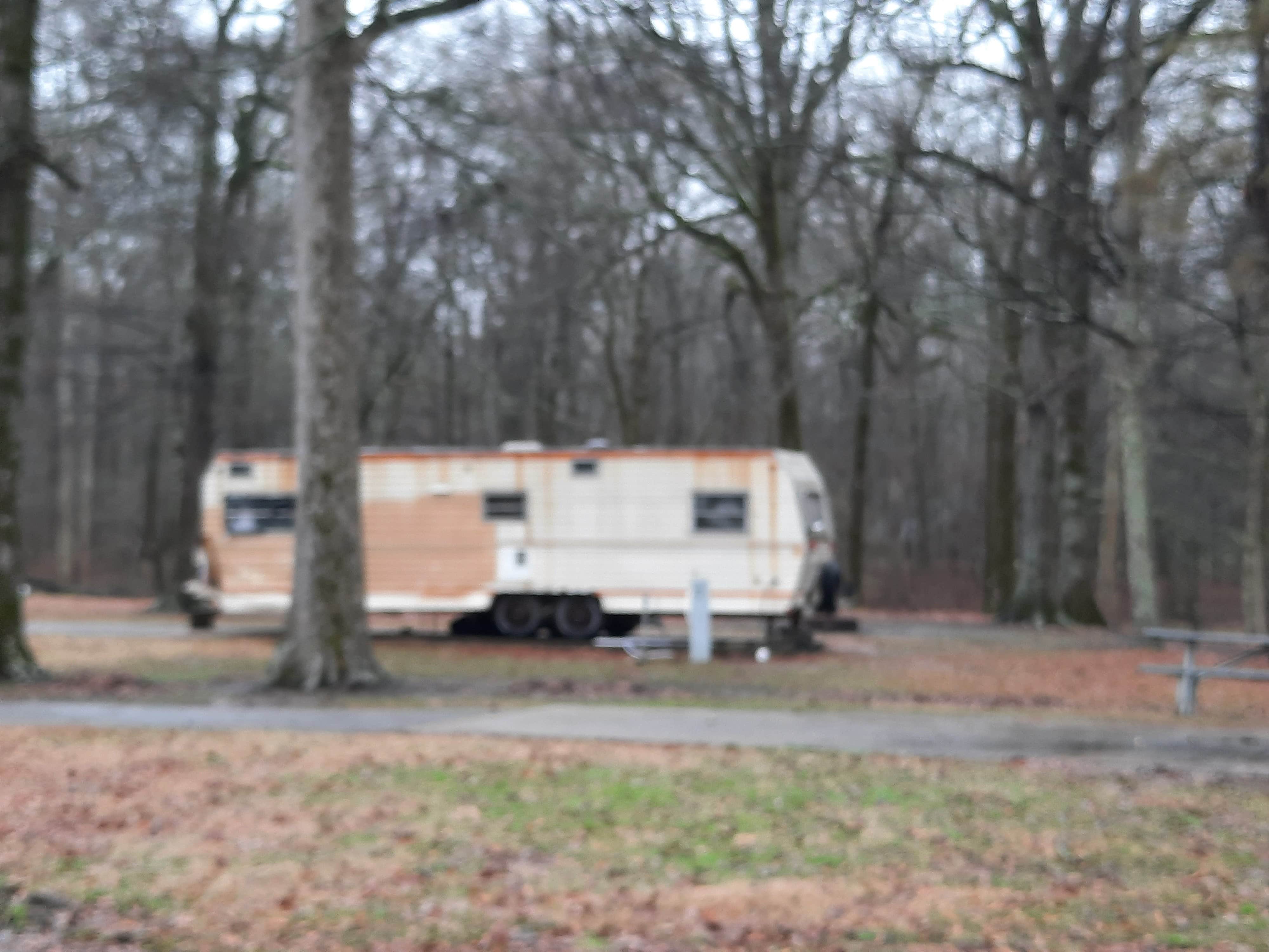 Steve S.'s photo of rv camping at Leroy Percy State Park Campground near Greenville, MS