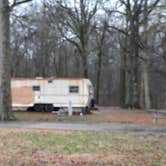 Review photo of Leroy Percy State Park Campground by Steve S., January 26, 2021