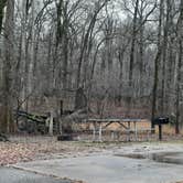 Review photo of Leroy Percy State Park Campground by Steve S., January 26, 2021