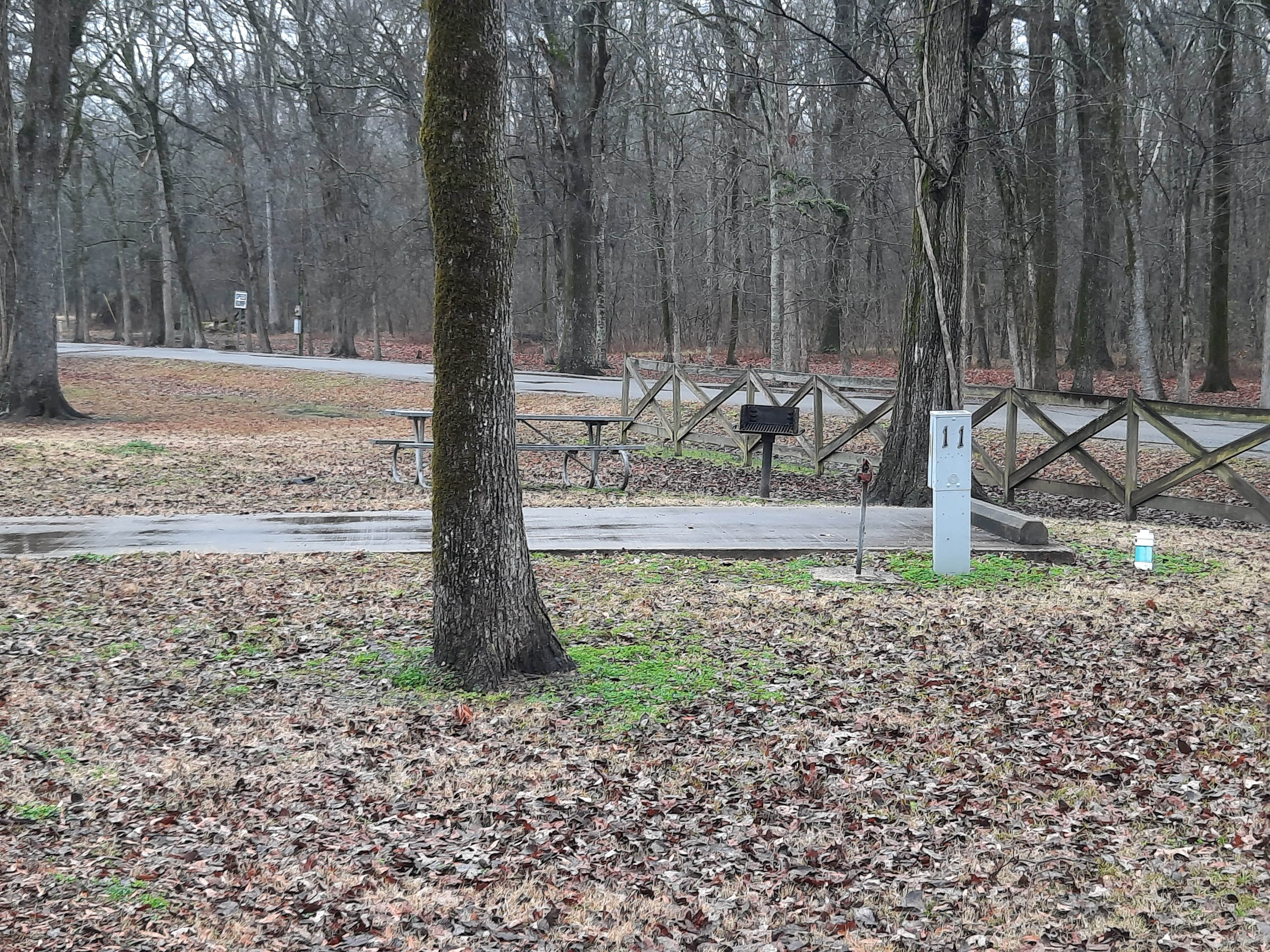 Camper-submitted photo at Leroy Percy State Park Campground near Brooklyn, MS