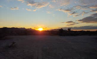Laura M.'s photo of a dispersed camping area at Buckeye Hills BLM - CLOSED near Phoenix, AZ