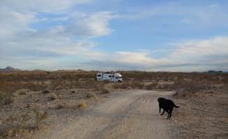 Laura M.'s photo of camping with pets at Buckeye Hills BLM - CLOSED in Arizona