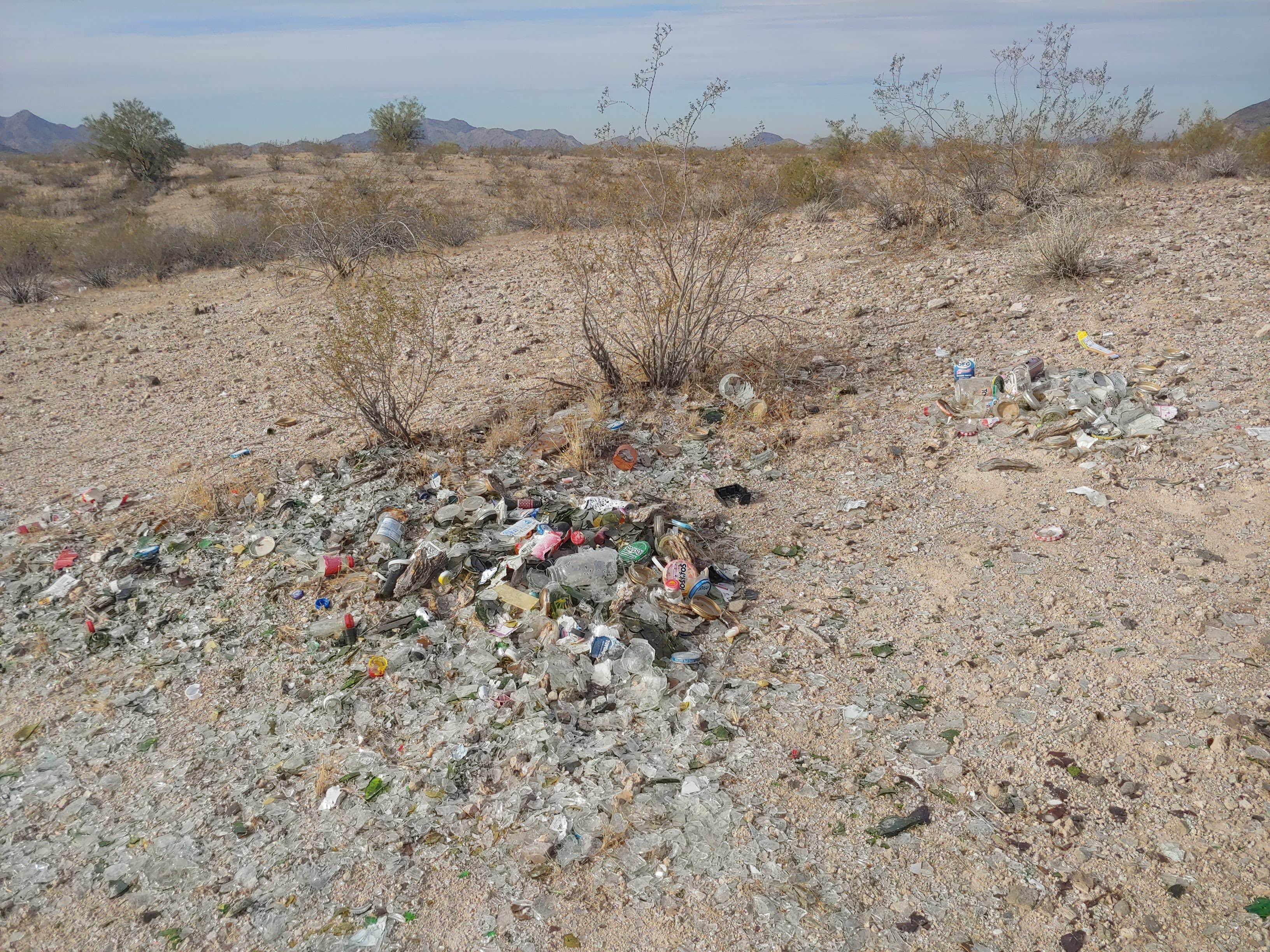 Camper submitted image from Buckeye Hills BLM - CLOSED - 2