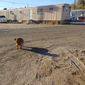 Review photo of Palms Mobile Home RV Park by Laura M., January 26, 2021