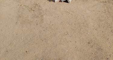 Palms Mobile Home RV Park