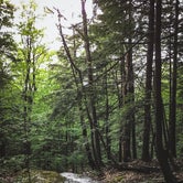 Review photo of October Mountain State Forest by Trip Over Life , May 28, 2018